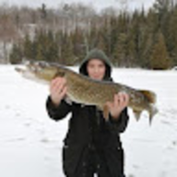 Meet your Posher, Emily - Picture 1 of 1